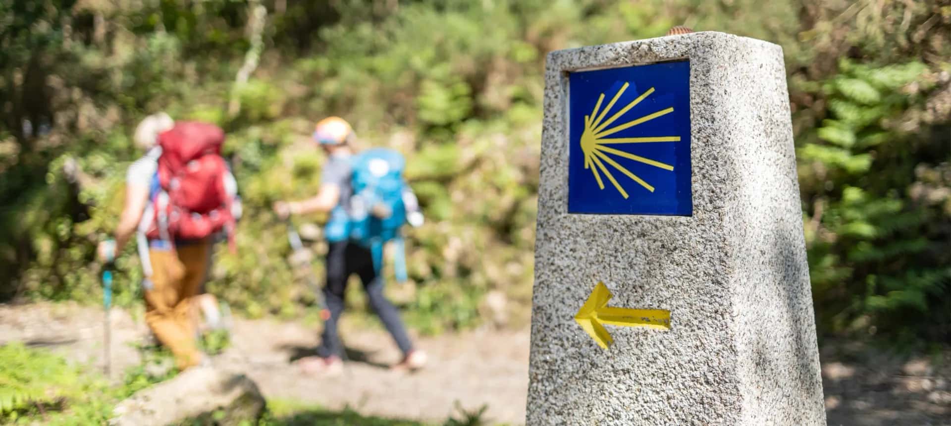 Discover tours and experiences in Santiago de Compostela, España
