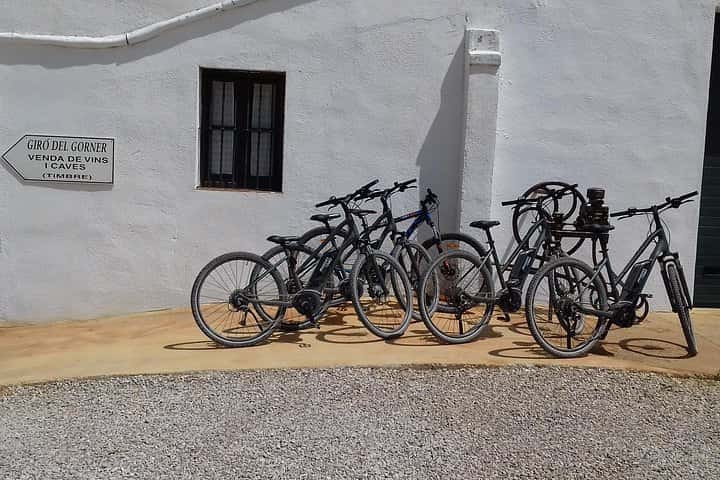 Desde Barcelona: E-Bike Tour en los viñedos con 2 bodegas. en Barcelona - Foto 9