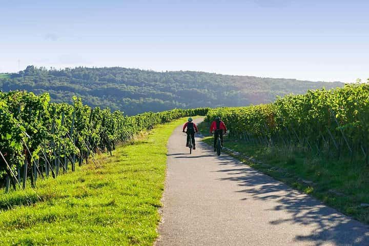 Desde Barcelona: E-Bike Tour en los viñedos con 2 bodegas. en Barcelona - Foto 3