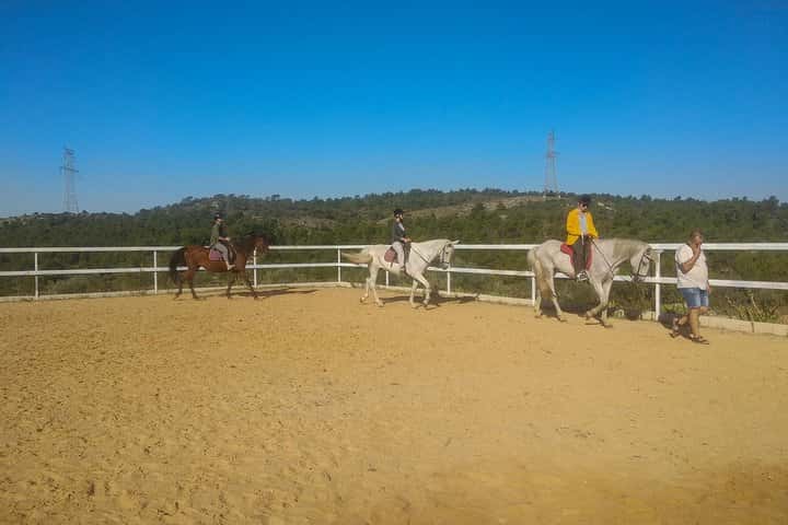 Paseo a caballo y bodega (tour privado) en Valencia - Foto 7