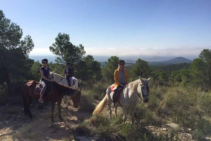 Paseo a caballo y bodega (tour privado) en Valencia - Foto 6