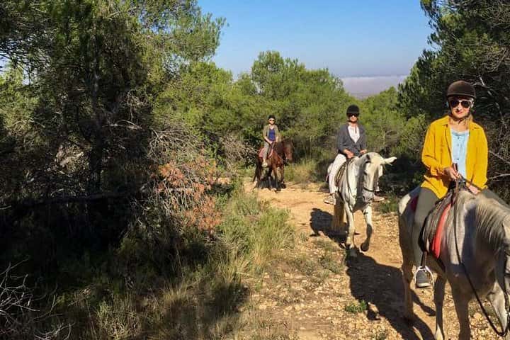 Paseo a caballo y bodega (tour privado) en Valencia - Foto 8