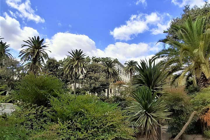 Full day private tour to Malaga from Marbella en Malaga - Photo 19