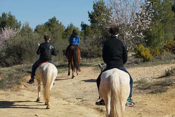 Paseo a caballo y bodega (tour privado) en Valencia - Foto 5