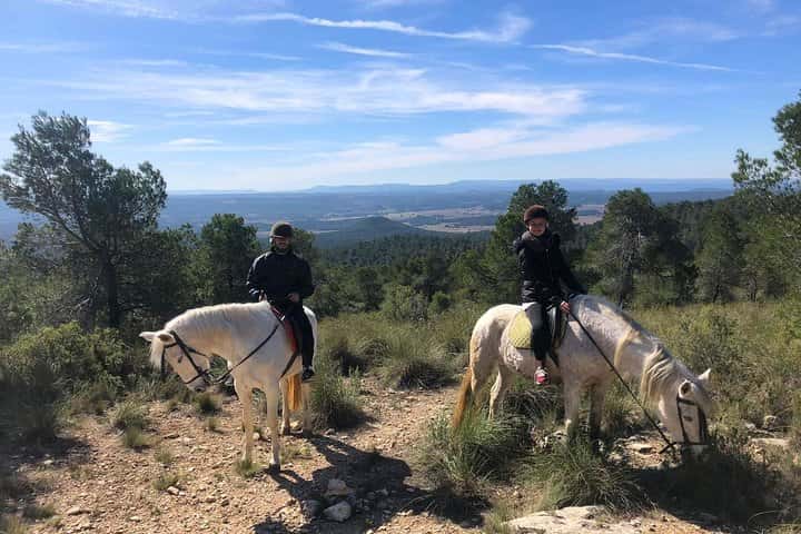 Paseo a caballo y bodega (tour privado) en Valencia - Foto 3