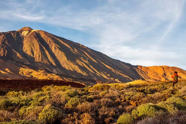  Excursion privada al Parque Nacional del Teide en Tenerife - Foto 8