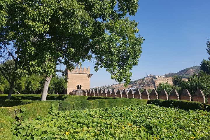 Alhambra Guia Oficial Privado (si tiene su entrada alhambra ) en Granada - Foto 8