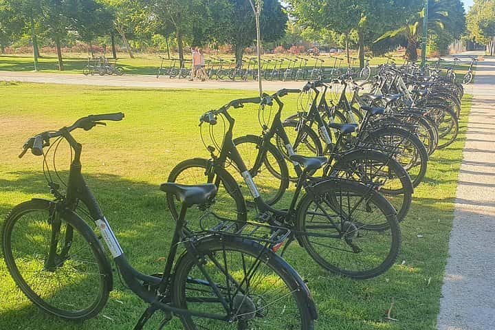 Tour Guiado en Bicicleta por Sevilla con Guía Certificado en Sevilla - Foto 4