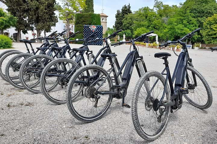 Desde Barcelona: E-Bike Tour en los viñedos con 2 bodegas. en Barcelona - Foto 6