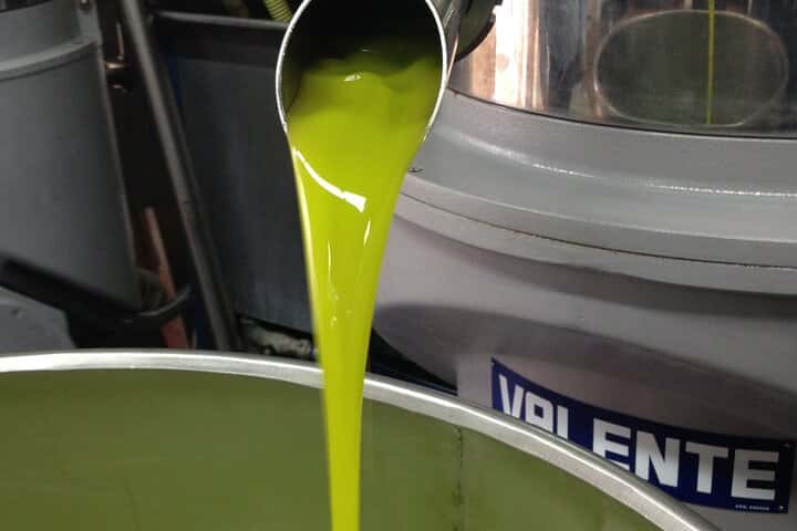 Tour privado de aceite de oliva de día completo con degustación en Valencia en Valencia - Imagen principal