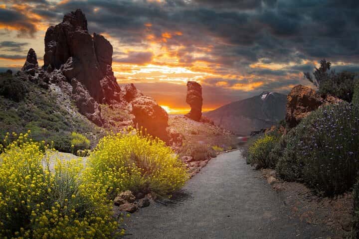  Excursion privada al Parque Nacional del Teide en Tenerife - Foto 10