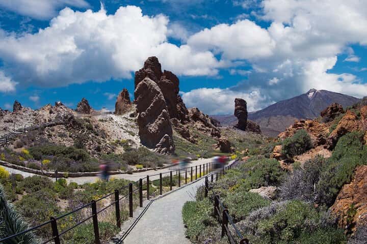  Excursion privada al Parque Nacional del Teide en Tenerife - Foto 11