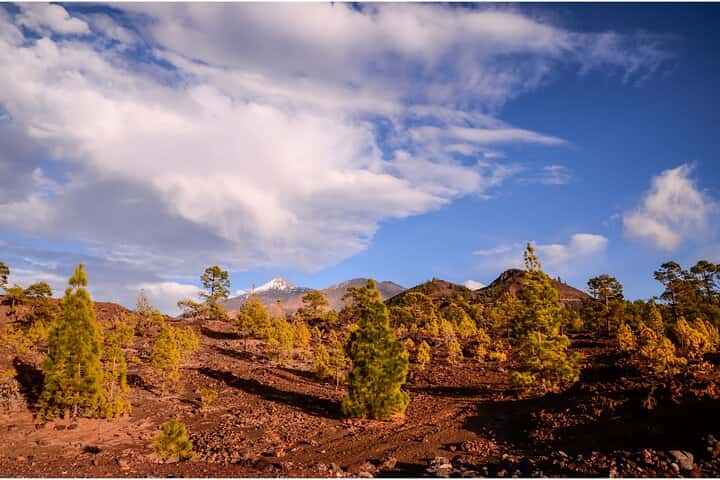  Excursion privada al Parque Nacional del Teide en Tenerife - Foto 14