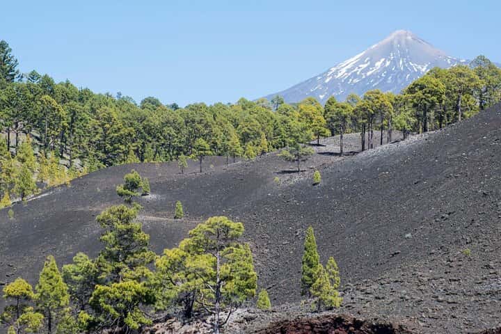  Excursion privada al Parque Nacional del Teide en Tenerife - Foto 16
