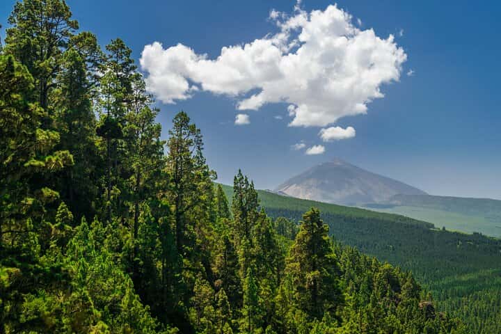  Excursion privada al Parque Nacional del Teide en Tenerife - Foto 17