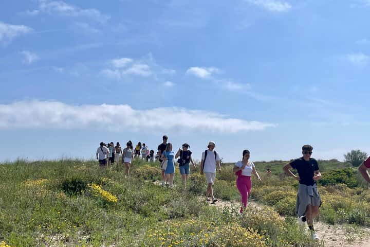 Visita privada al casco antiguo de Valencia en Valencia - Foto 12