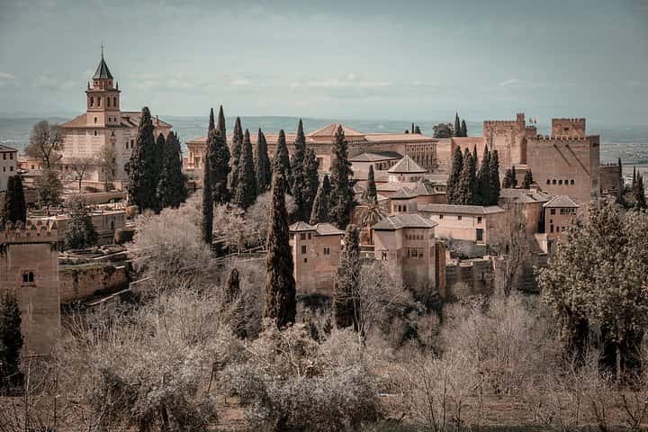 Tour Privado de La Alhambra y Granada desde Sevilla en Sevilla - Foto 7