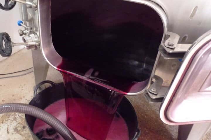 Requena Somm. Viñedos Privados / Degustación de Vinos Premium 1/2 Día en Valencia - Imagen principal