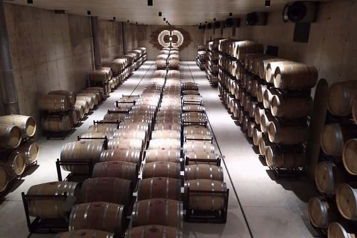 Requena Somm. Viñedos Privados / Degustación de Vinos Premium 1/2 Día en Valencia - Foto 7