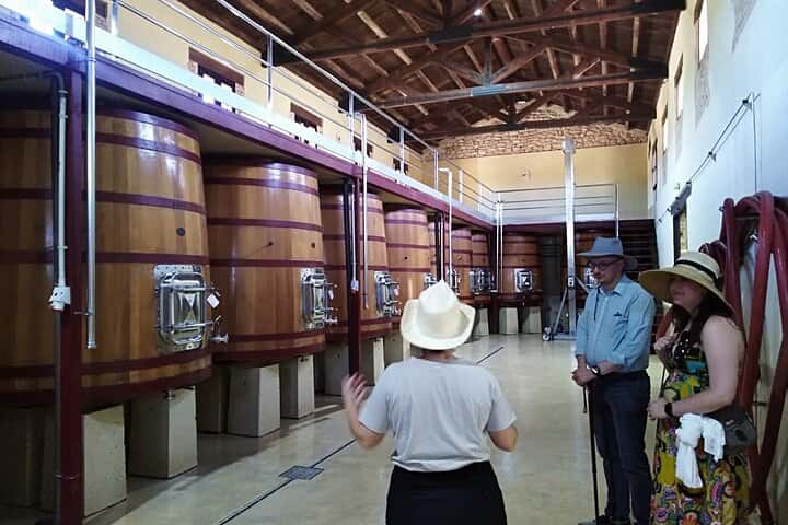 Requena Somm. Viñedos Privados / Degustación de Vinos Premium 1/2 Día en Valencia - Foto 8