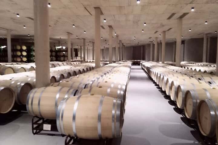 Requena Somm. Viñedos Privados / Degustación de Vinos Premium 1/2 Día en Valencia - Foto 15