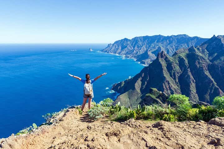 Tour privado de día completo por la costa en Tenerife desde el puerto de Santa Cruz en Tenerife - Imagen principal