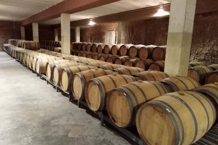 Requena Somm. Viñedos Privados / Degustación de Vinos Premium 1/2 Día en Valencia - Foto 19