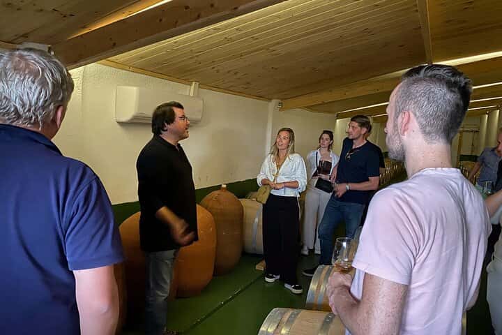 Requena Somm. Viñedos Privados / Degustación de Vinos Premium 1/2 Día en Valencia - Foto 20
