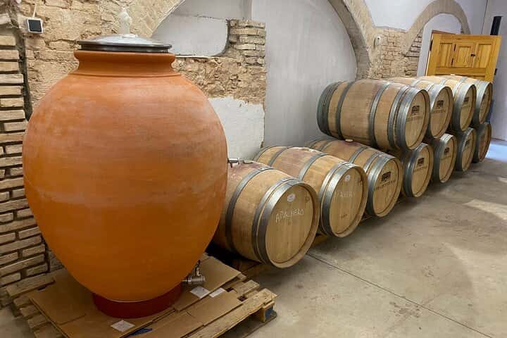 Requena Somm. Viñedos Privados / Degustación de Vinos Premium 1/2 Día en Valencia - Foto 25