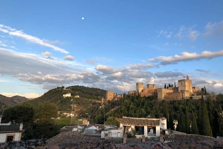 Tour Privado por la Alhambra de Granada en Granada - Foto 8