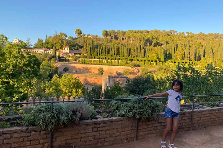 Visita a la Alhambra con guía oficial privado en Granada en Granada - Foto 2