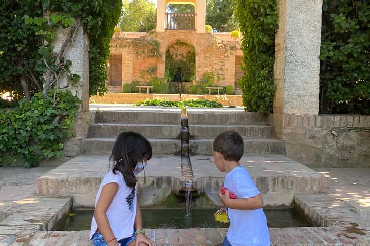 Visita a la Alhambra con guía oficial privado en Granada en Granada - Foto 3