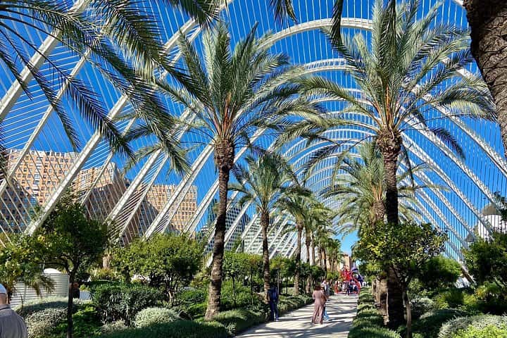 Tour autoguiado a pie y en bicicleta 1 + 1 Descubre Valencia en Valencia - Foto 15
