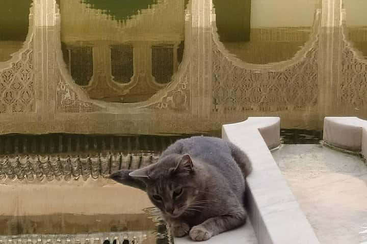 Alhambra completa con guía turístico- Evite colas de individuales en Granada - Foto 13