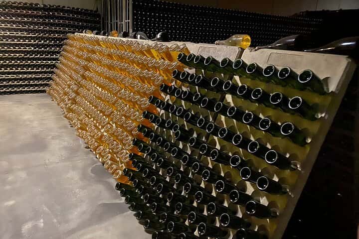 Requena Somm. Viñedos Privados / Degustación de Vinos Premium 1/2 Día en Valencia - Foto 29