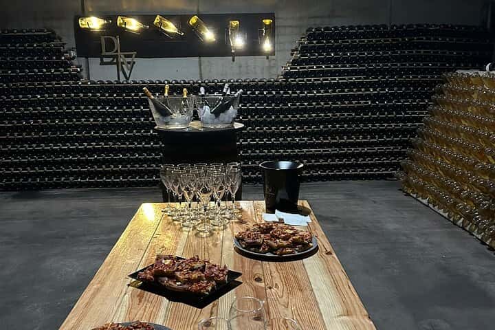 Requena Somm. Viñedos Privados / Degustación de Vinos Premium 1/2 Día en Valencia - Foto 30
