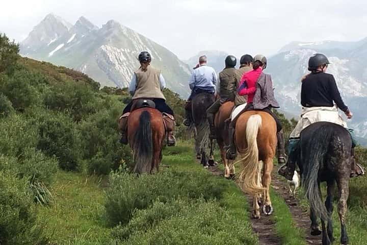 Horse Riding Madrid Natural Park Private trip en Madrid - Foto 2