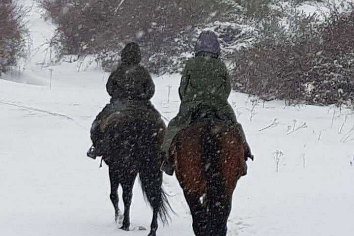 Horse Riding Madrid Natural Park Private trip en Madrid - Foto 4