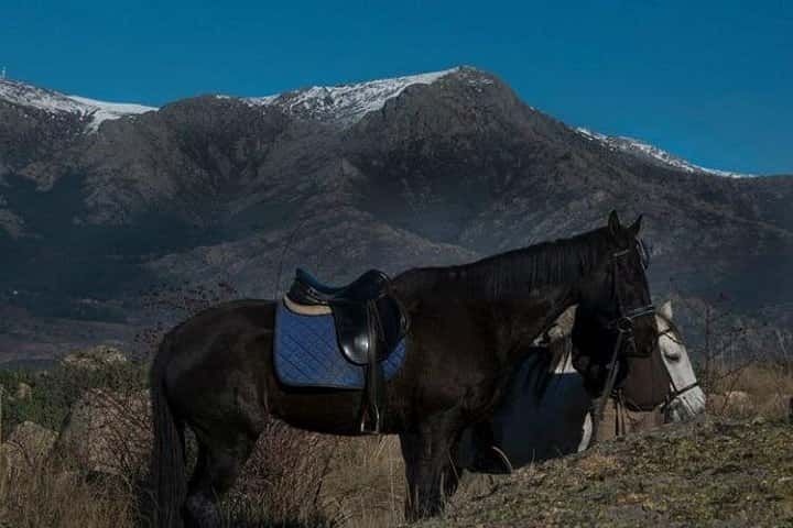 Horse Riding Madrid Natural Park Private trip en Madrid - Foto 6