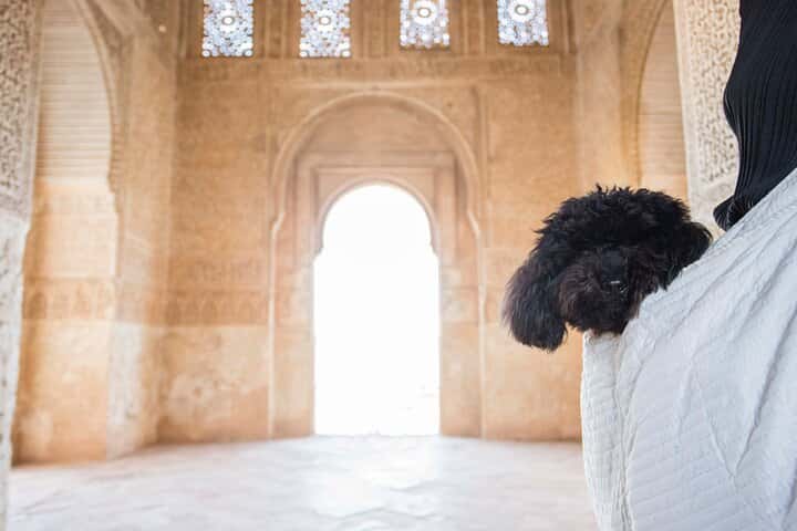 Tour privado de día o noche a la Alhambra en Granada - Foto 3