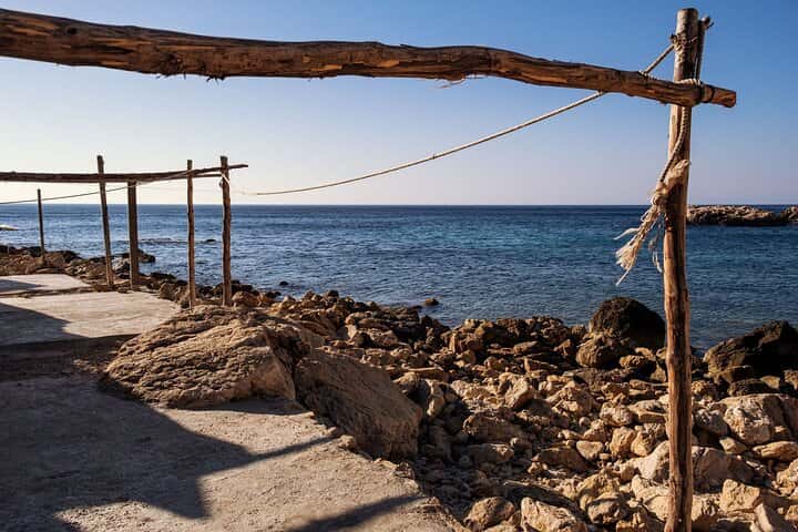 Hiking and beach excursion to Cala del Moraig from Valencia en Valencia - Photo 7