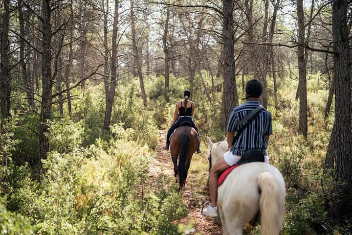 Paseo a caballo y bodega (tour privado) en Valencia - Imagen principal