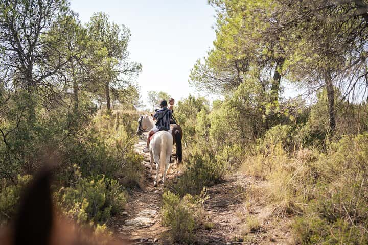 Paseo a caballo y bodega (tour privado) en Valencia - Foto 4