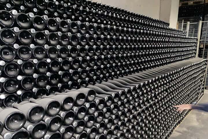 Requena Somm. Viñedos Privados / Degustación de Vinos Premium 1/2 Día en Valencia - Foto 31