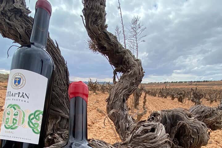 Requena Somm. Viñedos Privados / Degustación de Vinos Premium 1/2 Día en Valencia - Foto 32