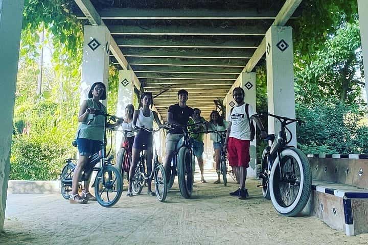 Sevilla flamenca Tour en EBike y Espectáculo de Flamenco en Sevilla - Foto 10