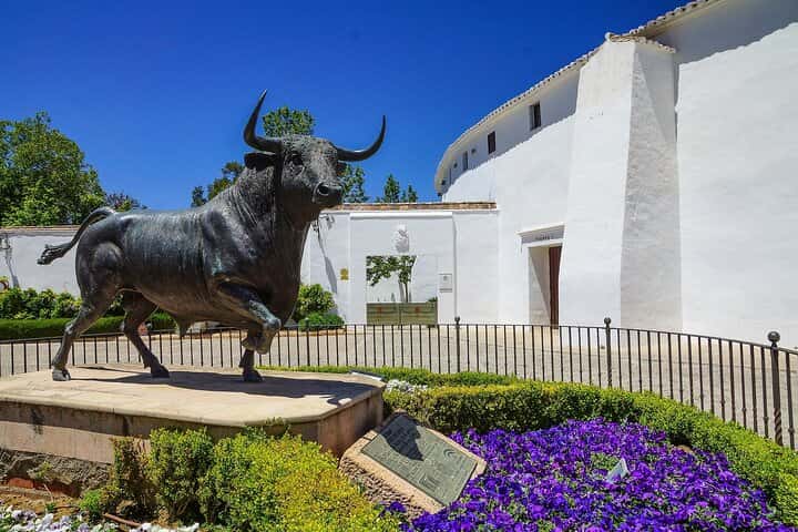 Excursión privada a la bodega Ronda desde Granada en Granada - Foto 7