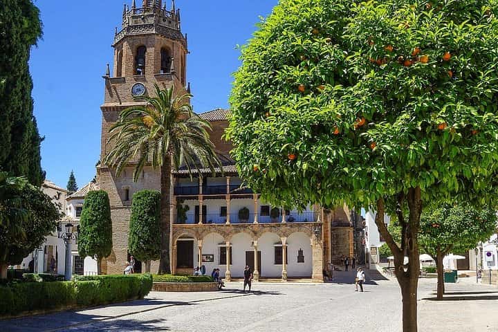 Excursión privada a la bodega Ronda desde Sevilla en Sevilla - Foto 8
