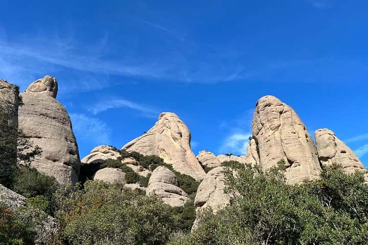 Excursión privada al Monasterio de Montserrat con recogida en el hotel en Barcelona - Foto 34