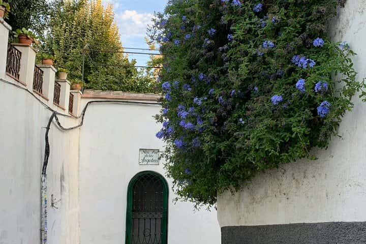 Excursión de un día a Córdoba desde Sevilla con visita guiada en Sevilla - Foto 4